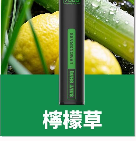 SALT SHAQ 鯊克7000口拋棄式煙桿｜持久續航・經典口感 小黑條