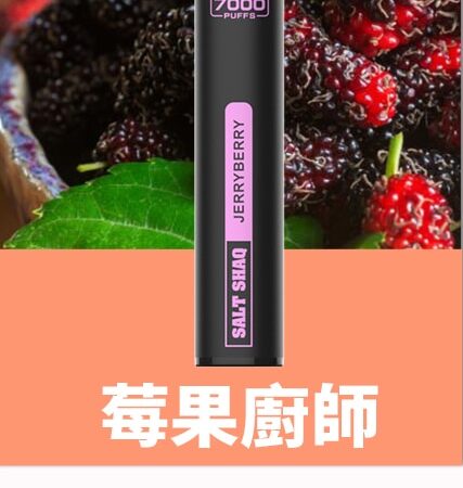 SALT SHAQ 鯊克7000口拋棄式煙桿｜持久續航・經典口感 小黑條